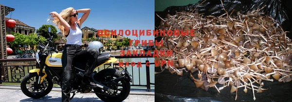 марки lsd Сосновка