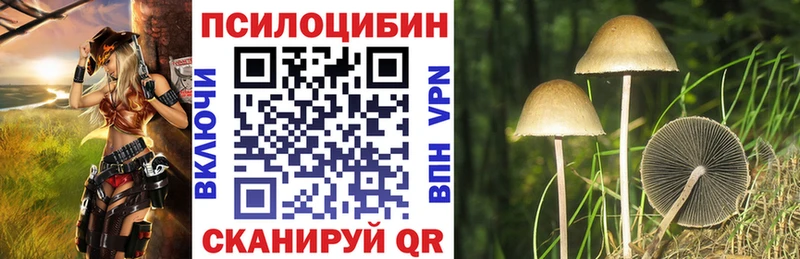 Купить закладки  Тамбов  Псилоцибиновые грибы мицелий 